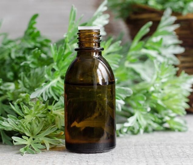 Wormwood infusion for the home treatment of warts on the hands